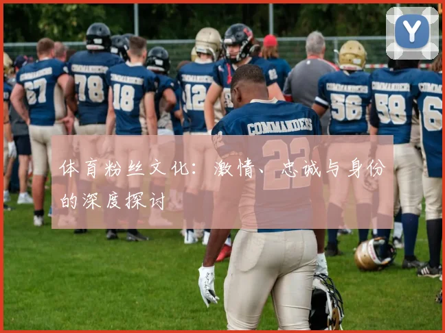 体育粉丝文化：激情、忠诚与身份的深度探讨