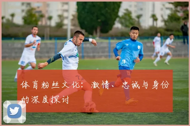 体育粉丝文化：激情、忠诚与身份的深度探讨